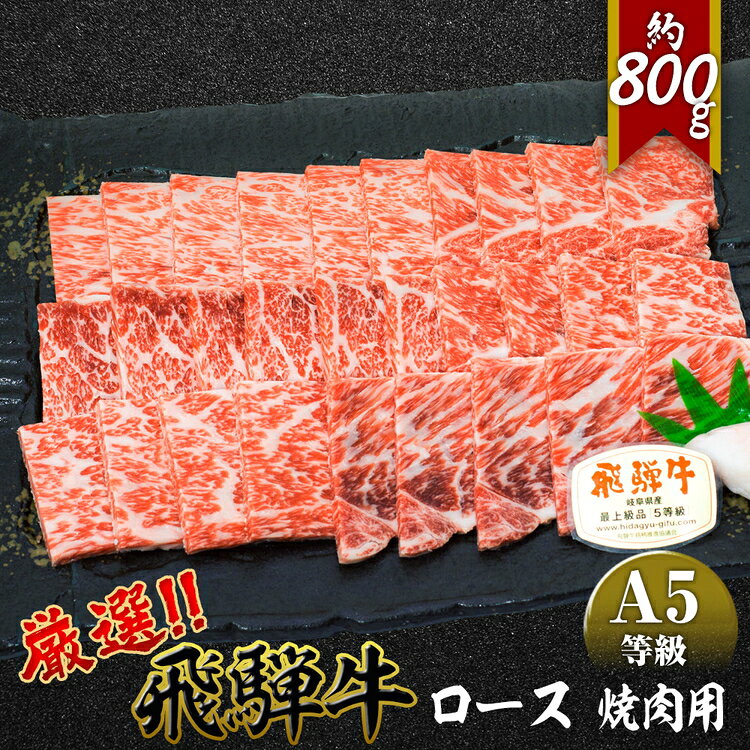 【ふるさと納税】店主こだわり雌牛 飛騨牛A5等級　ロース　焼肉用　約800g [No.065] ／ 牛肉 ブランド牛 やきにく メス牛 冷凍 送料無料 岐阜県 特産