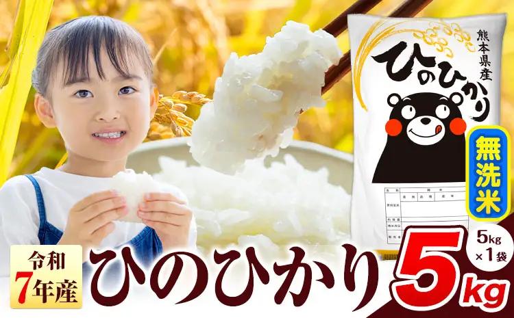 無洗米 令和7年産 ひのひかり 5kg 無洗