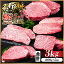 【ふるさと納税】【毎月定期便】飛騨牛 極ステーキ定期便　計約3kg【冷蔵便】全5回【配送不可地域：離島】【4056916】