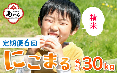 【先行予約】【令和6年産 新米】《定期便6回》にこまる 精米 5kg（計30kg）＜食味値85点以上！低農薬栽培＞ ／ 高品質 鮮度抜群 福井県 あわら産 ブランド米 白米 お米 米《出荷直前精米でお届け！》 ※2024年10月中旬以降発送予定