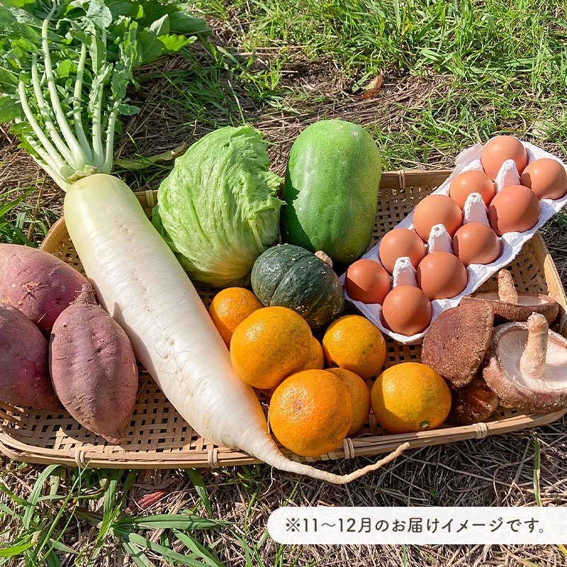 12月発送　農薬・化学肥料を持たない農家の野菜（7～10種類）と 平飼有精卵のセット 旬野菜 指定野菜 鶏卵 加工品 果物 蒟蒻 味噌 露地栽培 自家栽培 農業