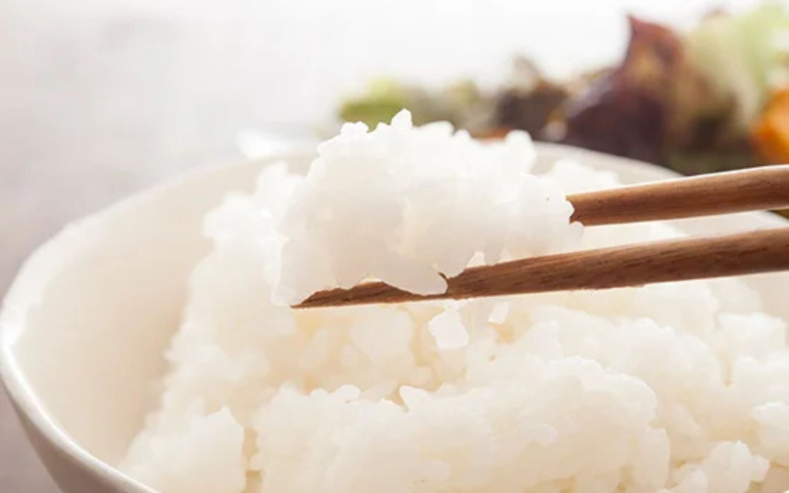 【令和８年産 先行予約】特A連続受賞 きぬむすめ 精米（10kg × 1袋）きぬむすめ お米 精米 特A タンポポ農園 岡山県産 【tppn007-01】