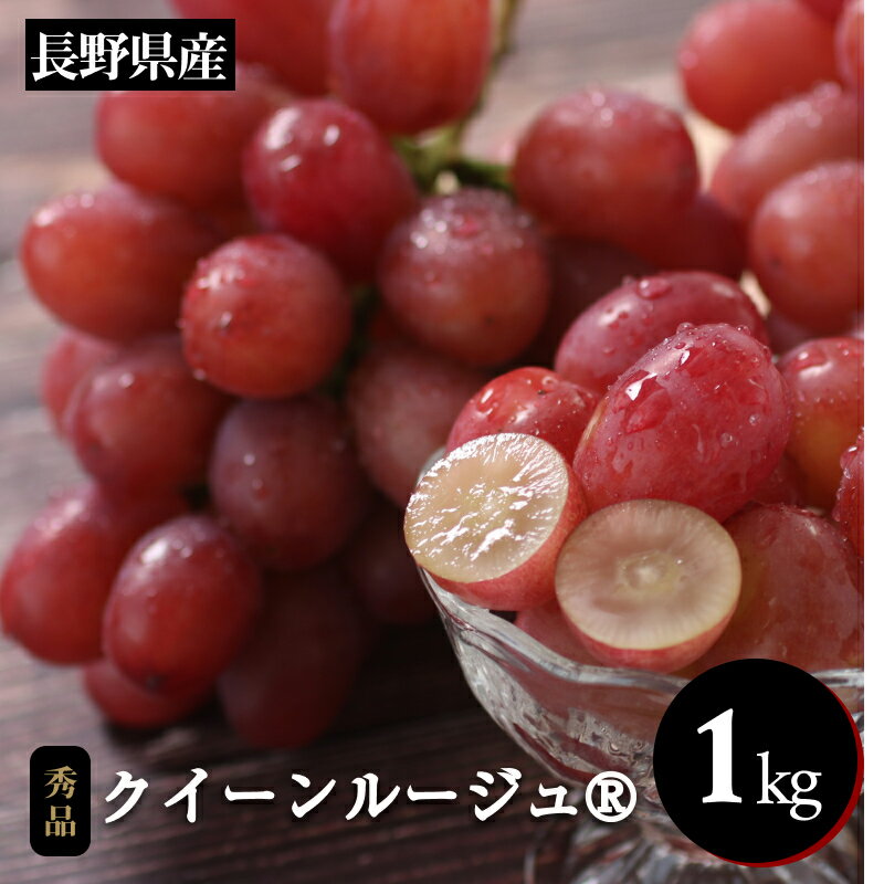 【ふるさと納税】産地厳選! 長野県産 クイーンルージュ® 約1kg 秀品 〈2025年10月中旬～11月中旬発送〉 | 果物 くだもの フルーツ ぶどう ブドウ 葡萄 クイーンルージュ® 種なし 長野県 信州 南信州 飯田市