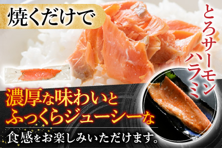 [12月14日決済分まで年内配送]スモークサーモン4～6P(計800g)＆とろサーモンハラミ6～10枚(計2kg) B-09100