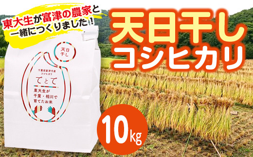 
                  東大生が育てた富津産【天日干しコシヒカリ】 5kg 10kg　令和7年産 2025年　選べる 米 お米 おすすめ 精米 白米 ごはん コシヒカリ 天日干し てとて 東大むら塾 東京大学 東大 千葉 房総 飯 ライス おにぎり お弁当 海苔巻き 手土産 ギフト 贈り物 プレゼント 地域おこし 房総 千葉県 富津市
                