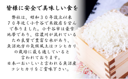 魚沼産コシヒカリ 3kg×3袋 小千谷米穀 魚沼地域