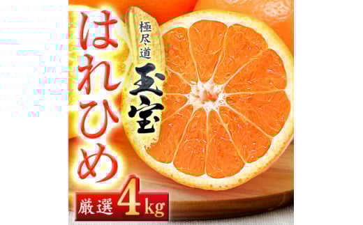 ＜愛媛名産＞玉宝はれひめ　4kg＜C64-70＞【1621812】
