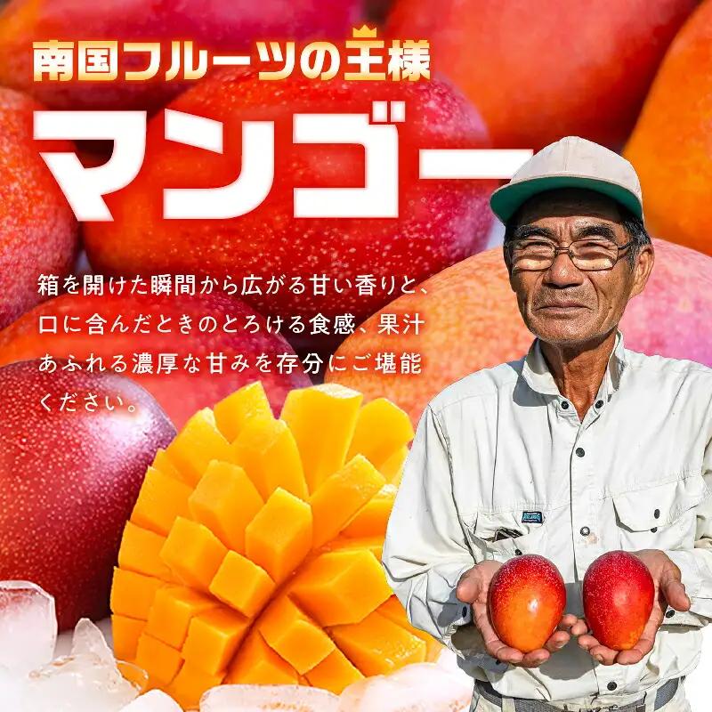 【 2027年 先行予約 】【 訳あり 】 甘い香り の 贈り物 ！ 山下農園 の 完熟アップルマンゴー 1kg （ 2～3玉 ） W063-004-01 わけあり 期間限定 果物 マンゴー