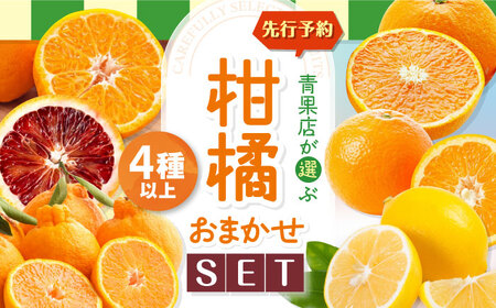 【先行予約】【3月上旬発送】柑橘おまかせセット 愛媛県大洲市/沢井青果有限会社[AGBN053]