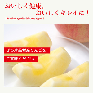 ぐんま名月 りんご 約3kg（片品フルーツ農園）