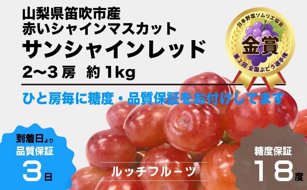 
                  2026年発送【糖度18度保証付】サンシャインレッド 約1kg 2～3房『金賞』受賞/全国ぶどう選手権/「赤いシャインマスカット」/日テレ「ZIP!」TBS「ひるおび」にて紹介！美味しいフルーツだけをお届け【ルッチ Rucci】 産地直送 山梨県 笛吹市 果物 葡萄 ぶどう 赤ブドウ 赤系 贈答 人気 ギフト 104-019
                