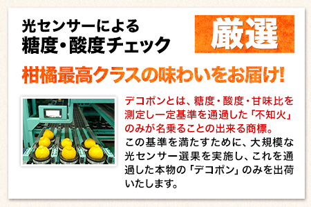 デコポン 訳あり デコポン 約 5kg 前後(約12-24玉前後) 糖度13度以上 みかん 生産量日本一 個別光センサー選果 熊本県産 (荒尾市産含む) 柑橘 フルーツ 旬 不知火 でこぽん デコポン