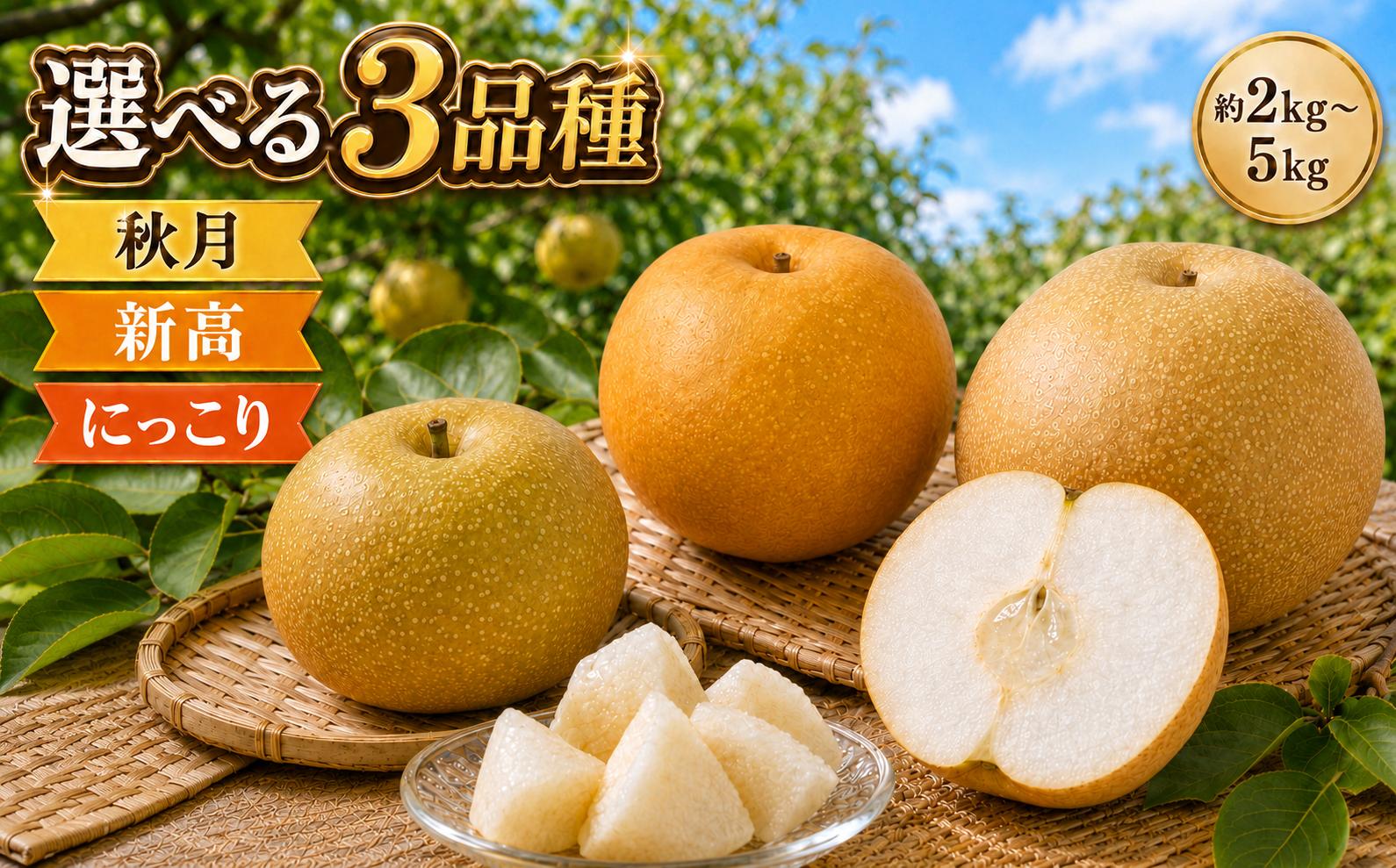 
                  【2026年先行予約】梨 栃木県産 訳あり 選べる 秋月 新高 にっこり| 2kg 3kg 5kg あきづき なし ナシ わけあり 訳アリ 完熟 果物 フルーツ プレゼント ご褒美 お取り寄せ 贈答 おいしい ジューシー 数量 限定 栃木県産 栃木県 真岡市 減農薬 送料無料【栃木県共通返礼品 栃木県産】 
                