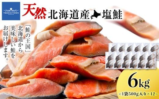 北海道産 塩サケ切り身 6kg しゃけ サケ 海鮮 魚 切り身
