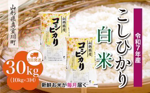 
                  ＜令和7年産米＞ こしひかり 【白米】 定期便 30kg （10kg×1ヶ月間隔で3回お届け）＜配送時期指定可＞　山形県真室川町
                