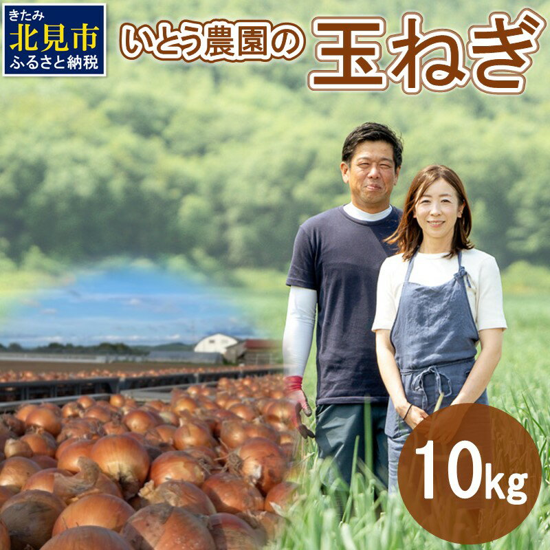【ふるさと納税】＼11/16まで！／いとう農園の玉ねぎ 10kg ( 玉葱 タマネギ 野菜 期間限定 数量限定 10キロ )