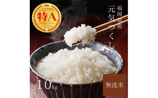 【先行予約】【令和7年産】福岡県産ブランド米「元気つくし」無洗米10kg(5kg×2袋) 吉富町/株式会社ゼロプラス [BGAA093] 無洗米 米 お米 おこめ ごはん ご飯 常温 福岡県産 ブランド米 常温 おにぎり おむすび お弁当 ライス 10キロ
