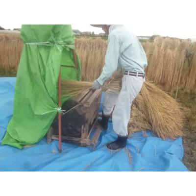 ふるさと納税 香取市 極上天日干し自然米(玄米5kg) |  | 02