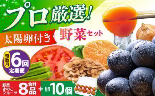 【全6回定期便・奇数月のみお届け】 卵付き野菜セット 野菜 果物 キノコ 8品目 ブランド卵10個 詰め合わせ 少人数世帯向け レギュラーサイズ 長崎県/吉岡青果 [42ACAF007] フルーツ キノコ 新鮮 セット 詰め合わせ 詰合せ 定期便 産地 直送 国産 季節の野菜 ひとりぐらし 一人 ふたりぐらし 二人 太陽たまご 太陽卵 たまご 玉子 野菜の定期便 野菜詰め合わせ