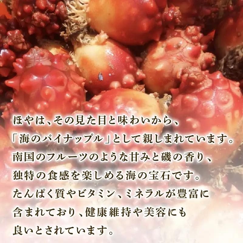 【スピード発送】 イカの塩辛 カットほや セット 各2パック 冷凍