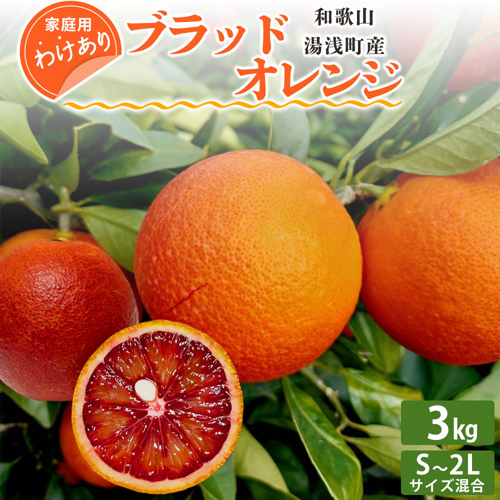 
EQ6011_【訳あり 家庭用】和歌山 湯浅町産 ブラッドオレンジ 3kg（S～2Lサイズ混合）＜2025年2月発送＞
