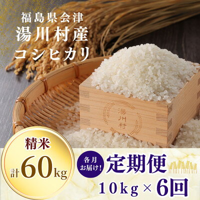 【ふるさと納税】【発送月固定定期便】湯川村産コシヒカリ 精米10kg(R8.10・12・R9.2・4・6・8)全6回【4091509】