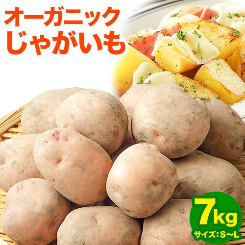 【ふるさと納税】オーガニック じゃがいも さやあかね 7kg 有機栽培 S～2L オフイビラ源吾農場 2026年予約 北海道 十勝 本別町産 ジャガイモ 負箙源吾農場 野菜 産地直送 常温 旬 新鮮 カレー 肉じゃが 料理 お取り寄せ グルメ 保存 送料無料 《10月下旬-3月中旬出荷》