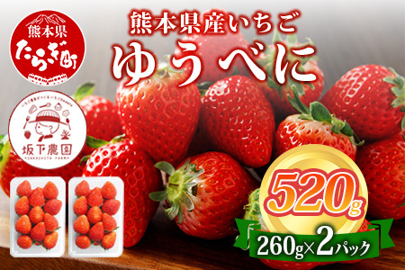 【2026年11月中旬〜順次発送】熊本県産 ゆうべに 約260g×2パック 4月終了 103-0001