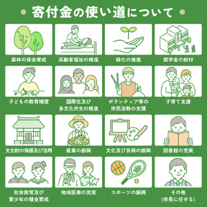 【定期便　毎月お届け6か月】ブラシャン 詰め替え用 500ml