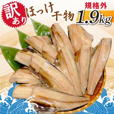 ふるさと納税 神栖市 【訳あり】規格外　ほっけ干物　1.9kg