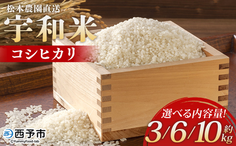 
            令和6年産 松本農園直送 宇和米（コシヒカリ）約3kg／6kg／10kg こしひかり 米 コメ こめ 白米 精米 うわまい ウワマイ ご飯 新鮮 3キロ 6キロ 10キロ 選べる お弁当 朝 昼 夜 国産 特産品 愛媛県 西予市【常温】
          