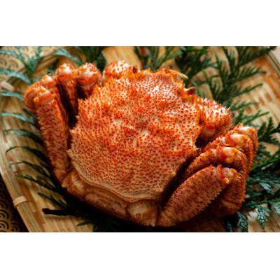 ふるさと納税 稚内市 【稚内産・極】 浜茹で毛ガニ(堅蟹) 570g×1尾