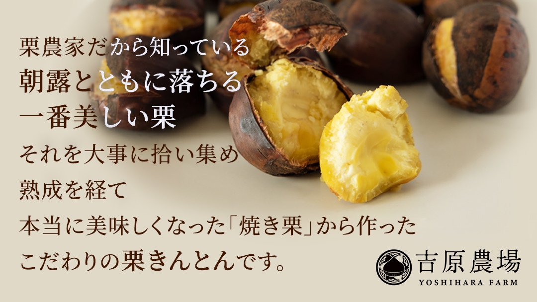 栗の深雫 (くりのしずく) 1箱 完熟 栗 くり クリ 栗きんとん 和菓子 おかし お菓子 贈り物 贈答 ギフト 秋 冬 [FC010sa]