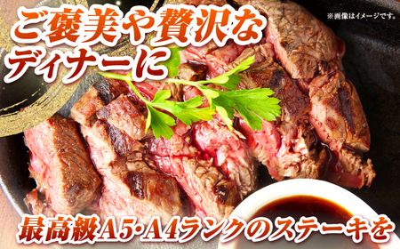 【全2回定期便】長崎和牛 サーロイン ステーキ 350g 《壱岐市》【KRAZY MEAT】 A5 A4 冷凍 和牛 肉 牛肉 BBQ[JER116]