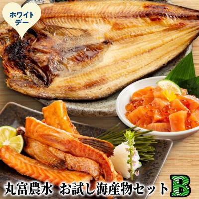 ふるさと納税 紋別市 【ホワイトデー】丸富農水お試し海産物セットB