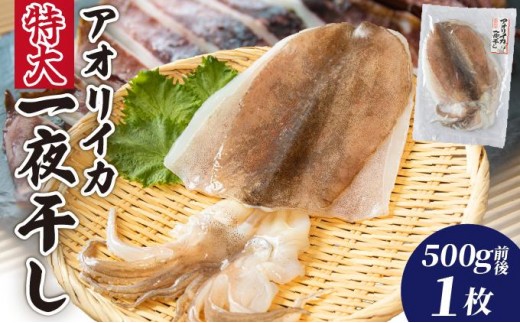 アオリイカ一夜干し 特大（500g前後）1枚