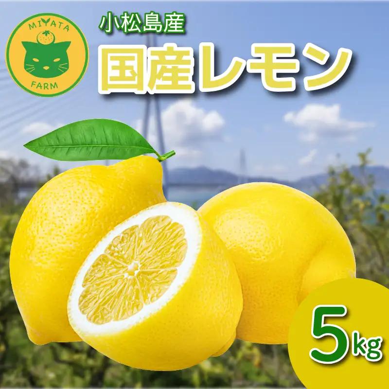 【2026年11月発送】レモン 5kg 秀品  国産 檸檬 ワックス不使用 防腐剤不使用 