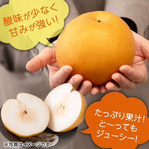 【 先行予約 】 にっこり梨 約3kg 箱 大玉 4玉～6玉 ( 茨城県共通返礼品 城里町 ) 2025年11月上旬から発送開始 フルーツ 甘い お正月 クリスマス 大玉 直送 茨城 限定 [CO00