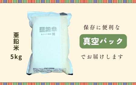 【先行予約】[令和７年産 新米］  亜鉛米（コシヒカリ） 無洗米 5kg 真空パック （7-50）　長野県 飯山市 おすすめ ランキング おいしい 高評価 大人気 こしひかり こしひかり こしひかり 
