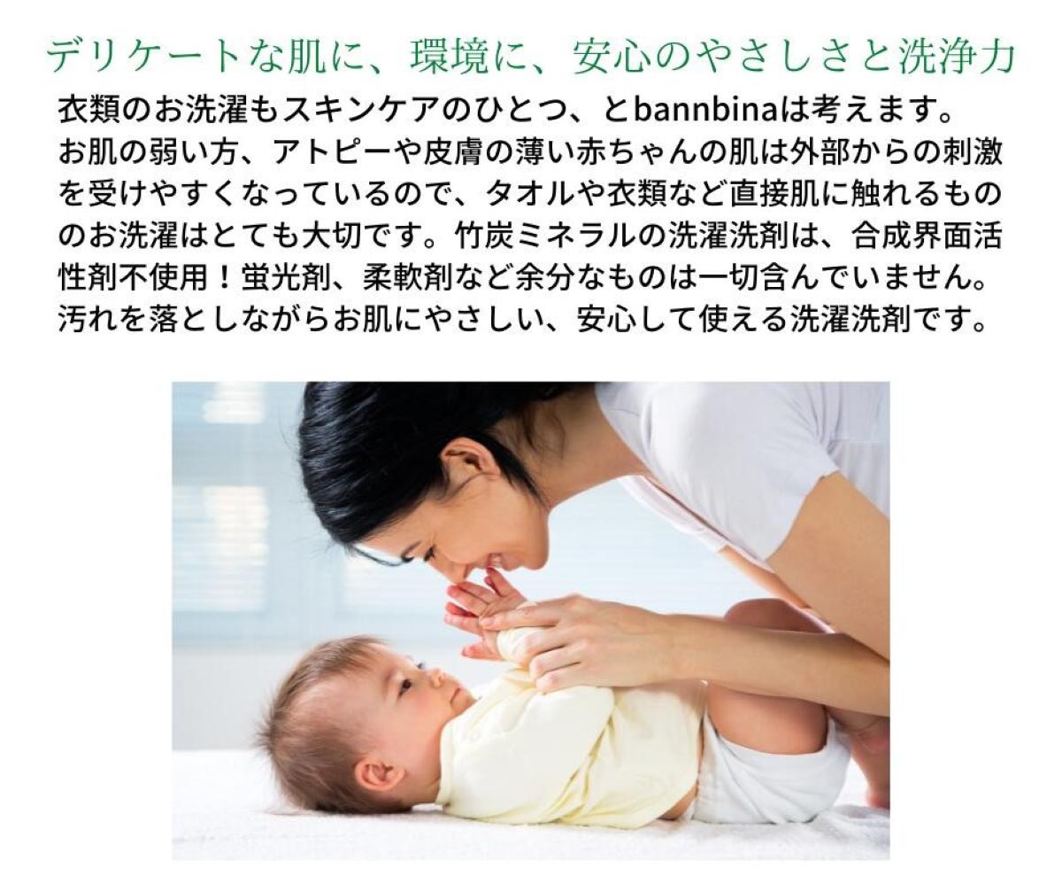 【パッケージリニューアル】竹ふわり (竹炭ミネラル洗濯洗剤) 1000ml×２本 定期便（5カ月お届け）