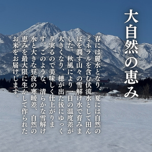 令和7年産 先行予約 新潟県上越産こしひかり 精米 30kg 6か月定期便 上越市 米 コメ コシヒカリ