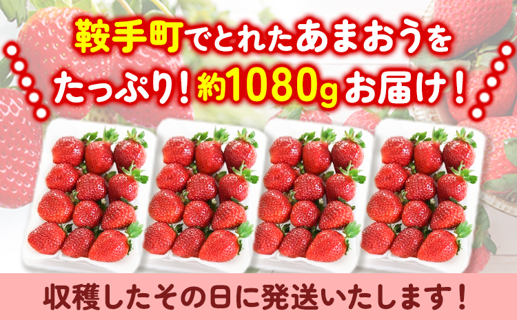 農家直送！先行予約 鞍手町産あまおう 約1080g 約270g×4パック 尾畑農園《令和8年1月中旬頃-3月中旬頃出荷》---iskr_cobau_q13_25_15000_1080g---