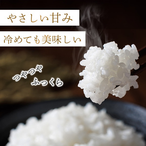 ＜数量限定＞元気つくし 精白米 (15kg)お米 米 精白米 国産 福岡県産 ブランド米 15kg 数量限定 常温＜北海道・沖縄・離島配送不可＞【ksg1782】