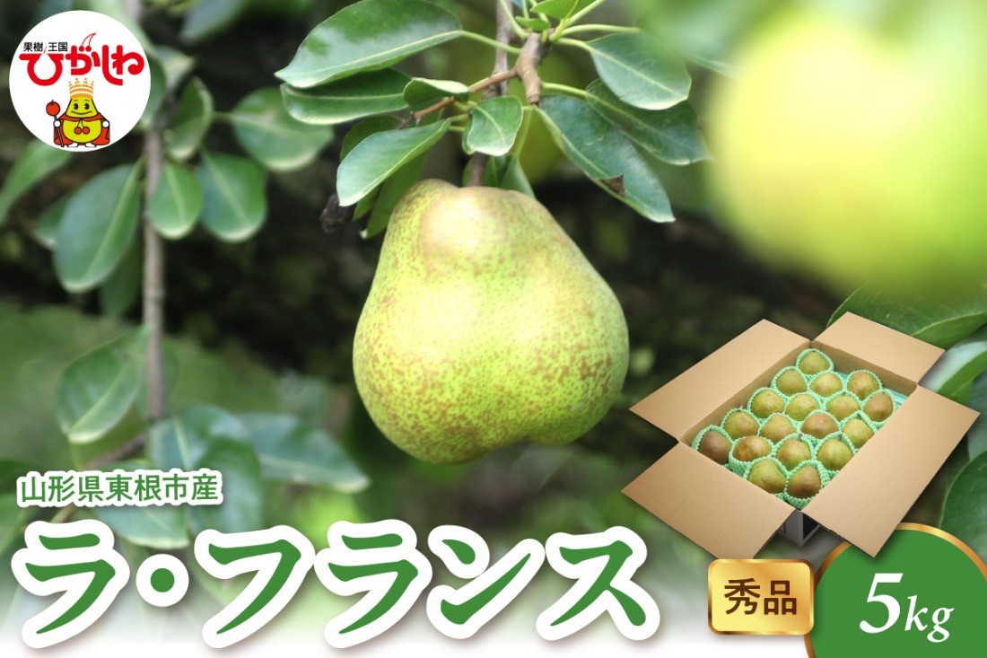 【2026年産】 ラ・フランス 5kg（8-25玉） 秀品 山形県 東根市 千笑花夢提供 hi082-022-r8