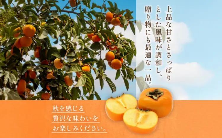 先行予約 柿 太秋柿 3kg くまふる宇城
