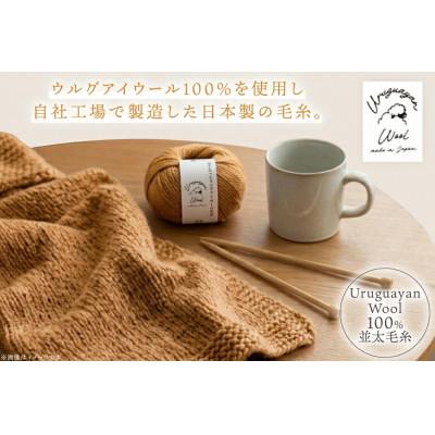 ふるさと納税 江南市 あみもねっと ウルグアイウール並太 9番色 10玉セット |  | 01
