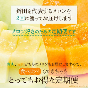 【茨城県メロン品評会赤肉部門最高金賞受賞】山一ファームのメロン『2ヵ月定期便』4月アンデス2玉・5月クインシー2玉