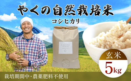 【令和8年産先行予約】 やくの自然栽培米 コシヒカリ 玄米 5kg  / 自然栽培 こめ コメ コシヒカリ こしひかり  ごはん 夜久野 京都府 福知山市 FCEV005