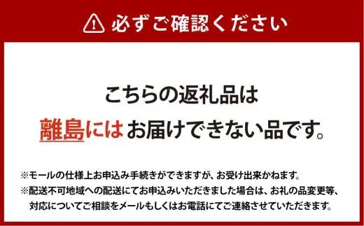 オリジナルビオラおまかせアソート （ プレミアム 24鉢 ）【 2026年11月下旬から2027年1月上旬迄発送予定 】