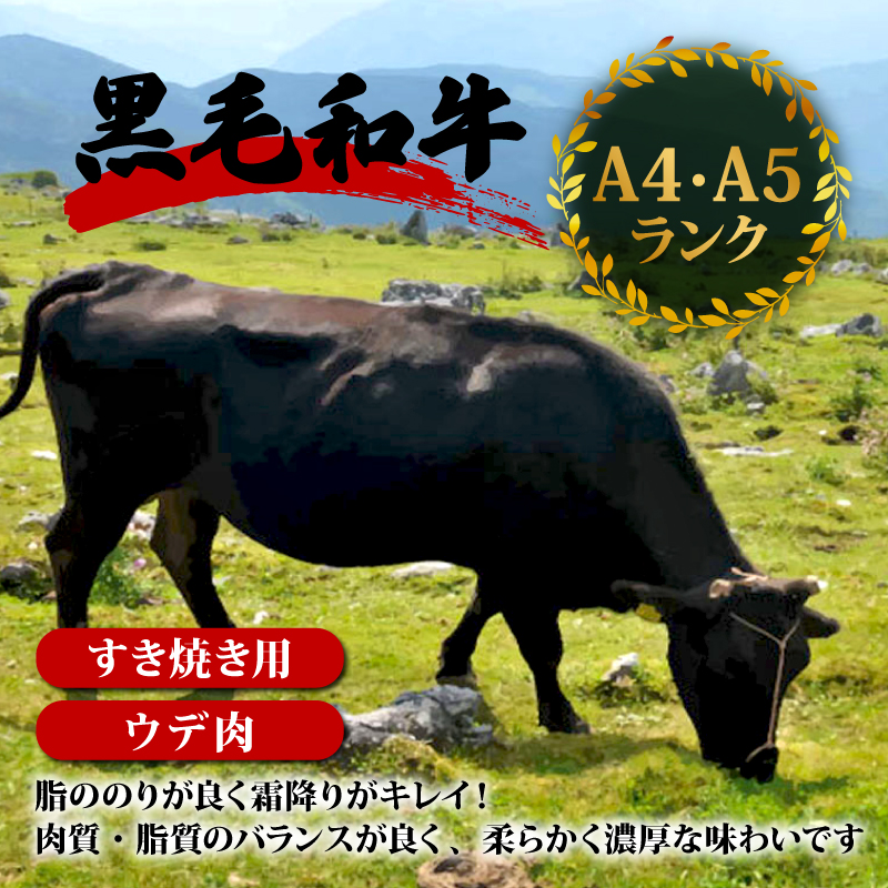土佐黒毛和牛A5～A4等級（特撰ウデ肉）すき焼用８００ｇ